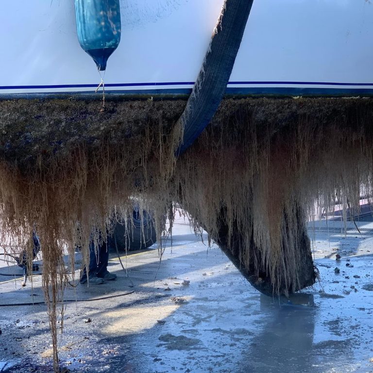 Photo 02 07 2019 11 19 36 Resize Photo 02 07 2019 11 19 36 Resize