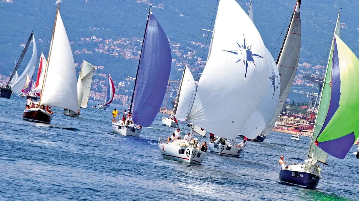 Regatta 1049741 Resize 1