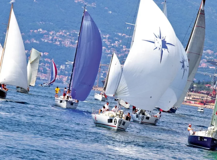 Regatta 1049741 Resize 1